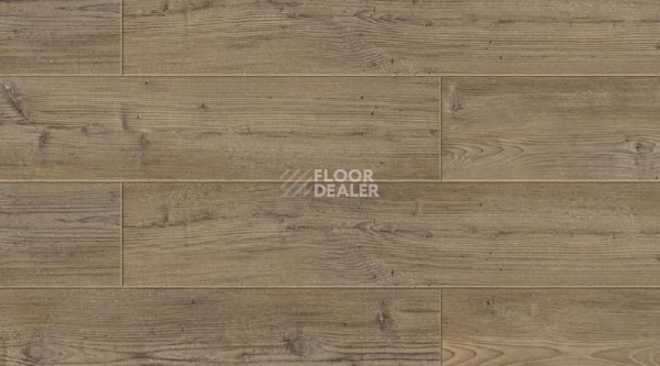 Кварцвиниловые полы Gerflor Creation 70 0537 Aberdeen фото 1 | FLOORDEALER